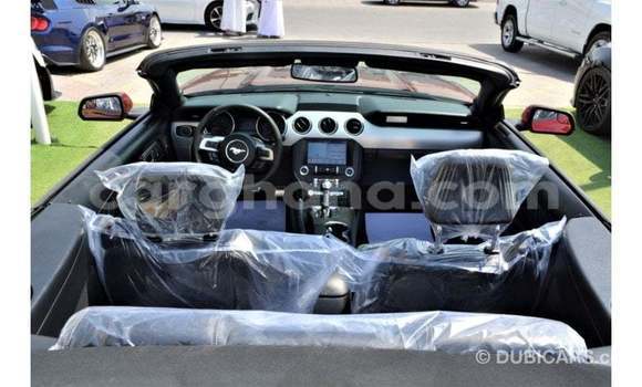 Ra Imported Ford Mustang Red Ọkọ̀ in Import - Dubai ni Ashanti Ra Imported Ford Mustang Red Ọkọ̀ in Import - Dubai ni Ashanti