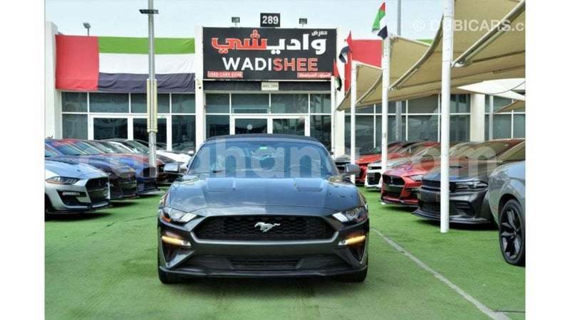 Big with watermark ford mustang ashanti import dubai 54203