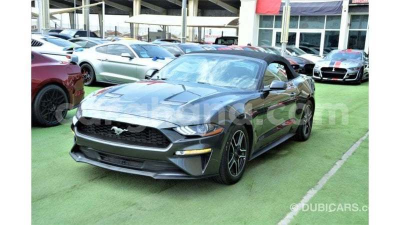 Big with watermark ford mustang ashanti import dubai 54203