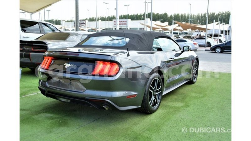 Big with watermark ford mustang ashanti import dubai 54203