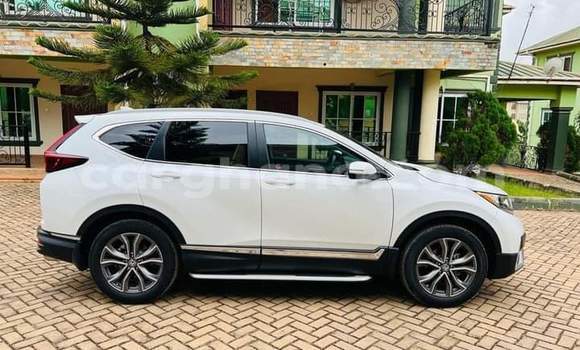 Buy Used Honda CR–V White Car in Sekondi–Takoradi Metropolitan in Western Buy Used Honda CR–V White Car in Sekondi–Takoradi Metropolitan in Western