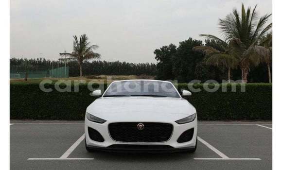 Buy Import Jaguar F-Type White Car in Import - Dubai in Ashanti